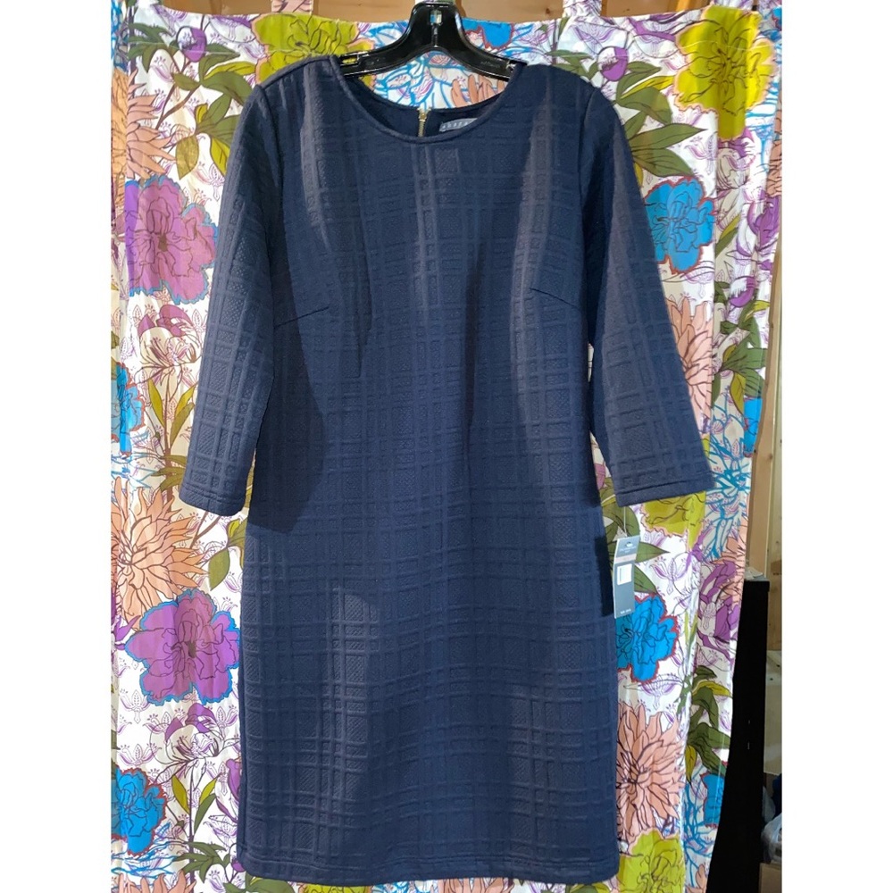 Sharagano a shift dress